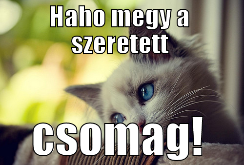 HAHO MEGY A SZERETETT CSOMAG! First World Problems Cat