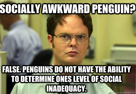 Socially awkward penguin? False. penguins do not have the ability to determine ones level of social inadequacy.  Schrute