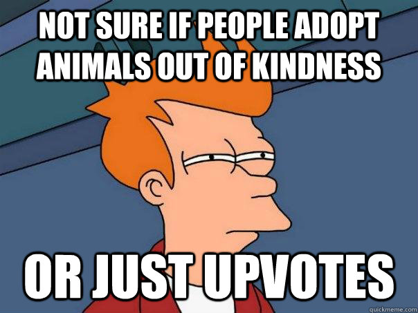 Not sure if people adopt animals out of kindness or just upvotes  Futurama Fry