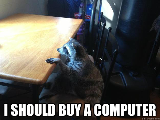  i should buy a computer -  i should buy a computer  Rocky at his Desk