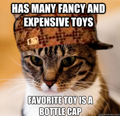 Has many fancy and expensive toys  Favorite toy is a bottle cap  Scumbag Cat