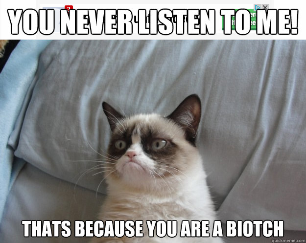 You never listen to me! thats because you are a biotch  Grumpy Cat on Being Unfriended