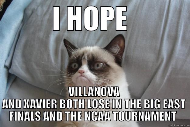 I HOPE  VILLANOVA AND XAVIER BOTH LOSE IN THE BIG EAST FINALS AND THE NCAA TOURNAMENT  Grumpy Cat