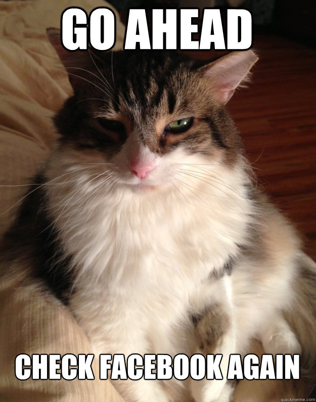Go ahead check facebook again  Judging Cat