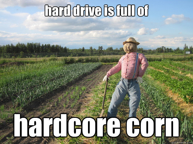 hard drive is full of hardcore corn  Scarecrow