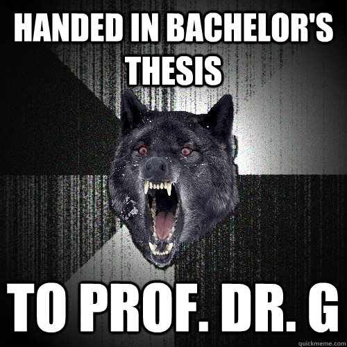 Handed in Bachelor's Thesis To Prof. Dr. G  Insanity Wolf