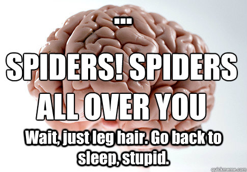 Wait, just leg hair. Go back to sleep, stupid. ... SPIDERS! SPIDERS ALL OVER YOU  Scumbag Brain