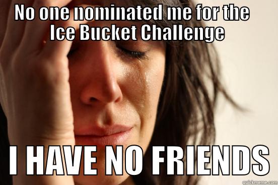 NO ONE NOMINATED ME FOR THE    ICE BUCKET CHALLENGE   I HAVE NO FRIENDS First World Problems