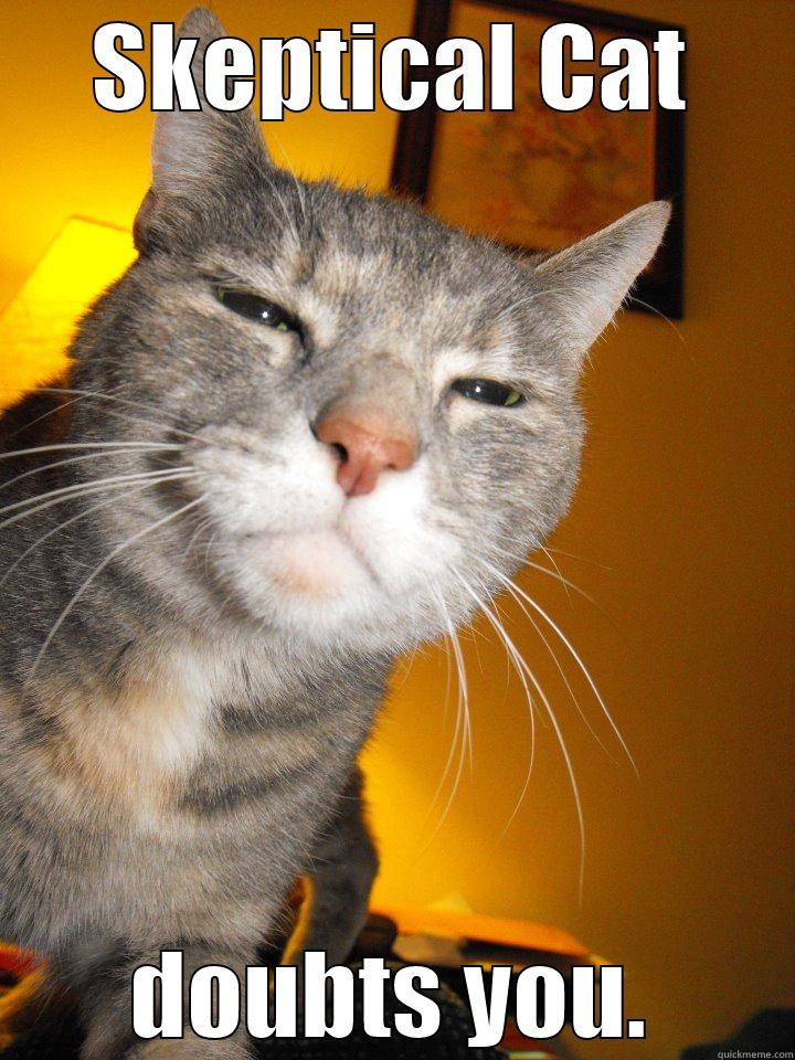 Skeptical Cat - SKEPTICAL CAT DOUBTS YOU. Misc