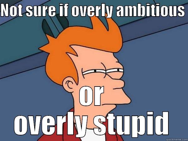 NOT SURE IF OVERLY AMBITIOUS  OR OVERLY STUPID Futurama Fry