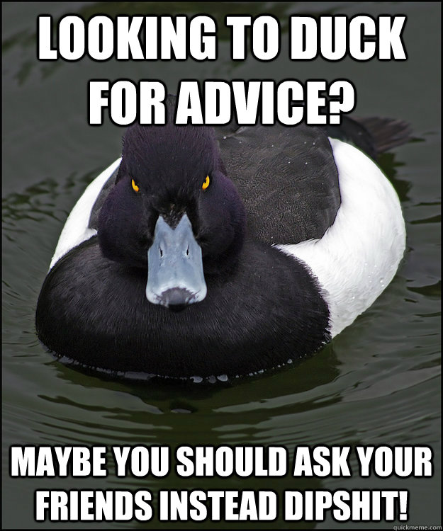 Looking to Duck for Advice? Maybe you should ask your friends instead Dipshit! - Looking to Duck for Advice? Maybe you should ask your friends instead Dipshit!  Angry Advice Duck
