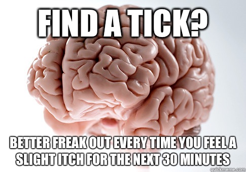 Find a tick? Better freak out every time you feel a slight itch for the next 30 minutes  Scumbag Brain