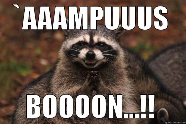 `AAAMPUUUS BOOOON...!! Evil Plotting Raccoon