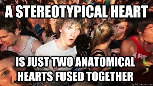 A stereotypical heart Is just two anatomical hearts fused together  Sudden Clarity Clarence
