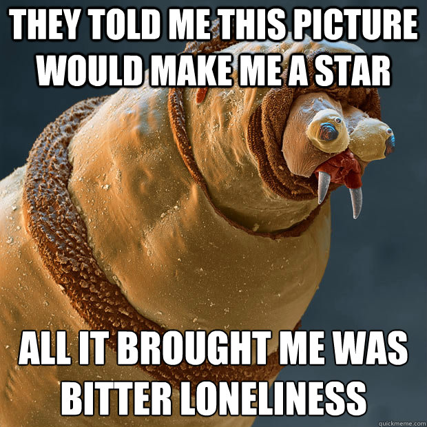They told me this picture would make me a star All it brought me was bitter loneliness - They told me this picture would make me a star All it brought me was bitter loneliness  Derp larva