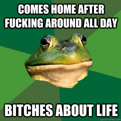 comes home after fucking around all day bitches about life  Foul Bachelor Frog