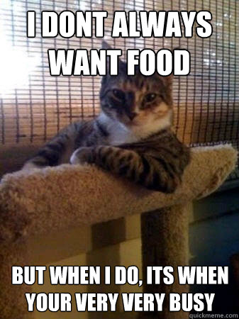 i dont always want food but when I do, its when your very very busy  The Most Interesting Cat in the World