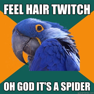 Feel hair twitch Oh god it's a spider  Paranoid Parrot