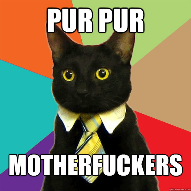 PUR PUR MOTHERFUCKERS  Business Cat
