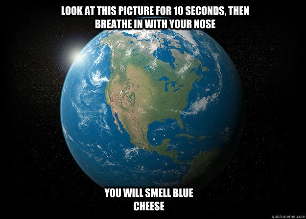 Look at this picture for 10 seconds, then breathe in with your nose You will smell blue cheese  Blue Cheese