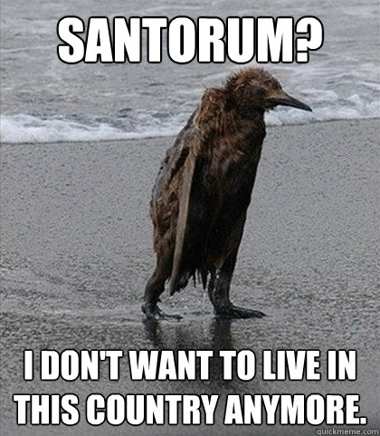 Santorum?
 I don't want to live in this country anymore.
  Fuck it