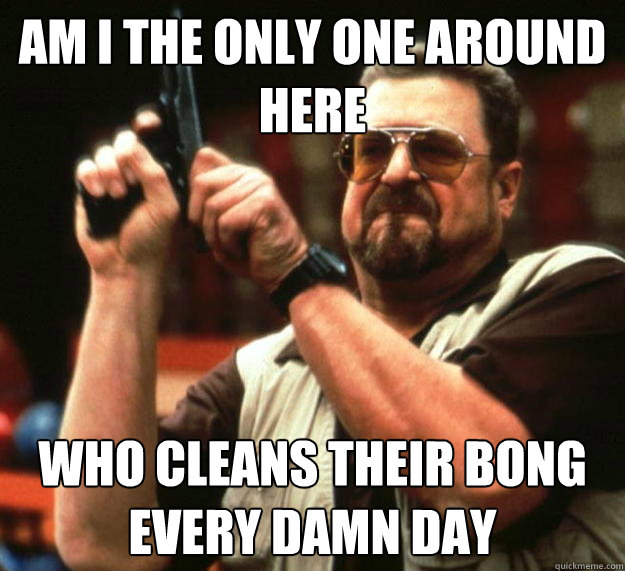 am I the only one around here Who cleans their bong every damn day  Angry Walter