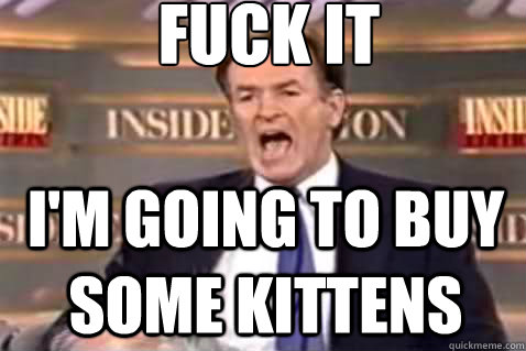 fuck it I'm going to buy some kittens  Fuck It Bill OReilly