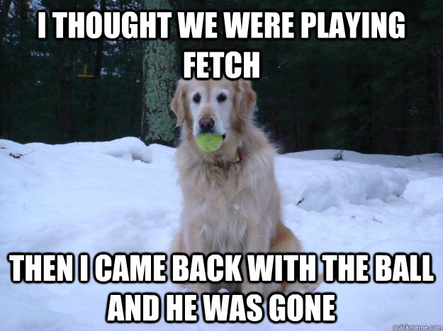 I thought we were playing fetch then i came back with the ball and he was gone  Abandoned Dog