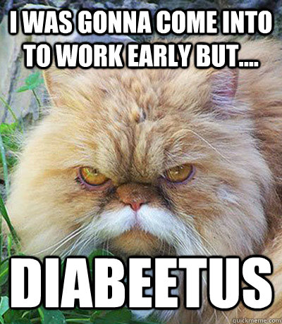 I was gonna come into to work early but.... Diabeetus  Diabeetus Cat