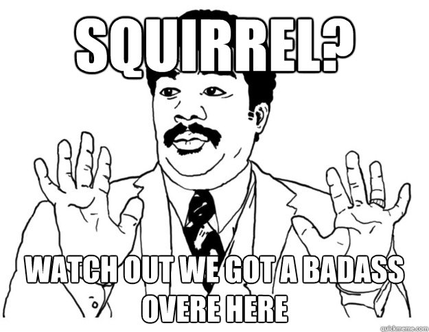 Squirrel? Watch out we got a badass overe here  Watch out we got a badass over here