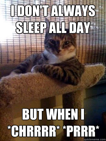 I don't always sleep all day but when i *chrrrr* *prrr*  The Most Interesting Cat in the World