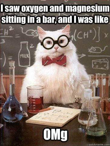 I saw oxygen and magnesium sitting in a bar, and I was like OMg  Chemistry Cat
