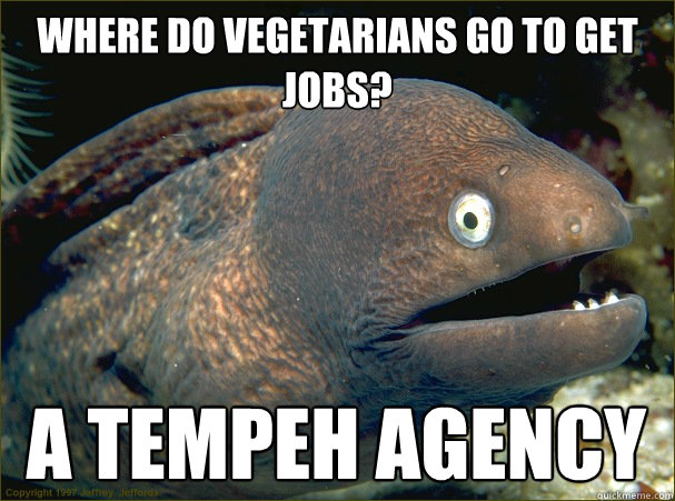where do vegetarians go to get jobs? a tempeh agency  Bad Joke Eel