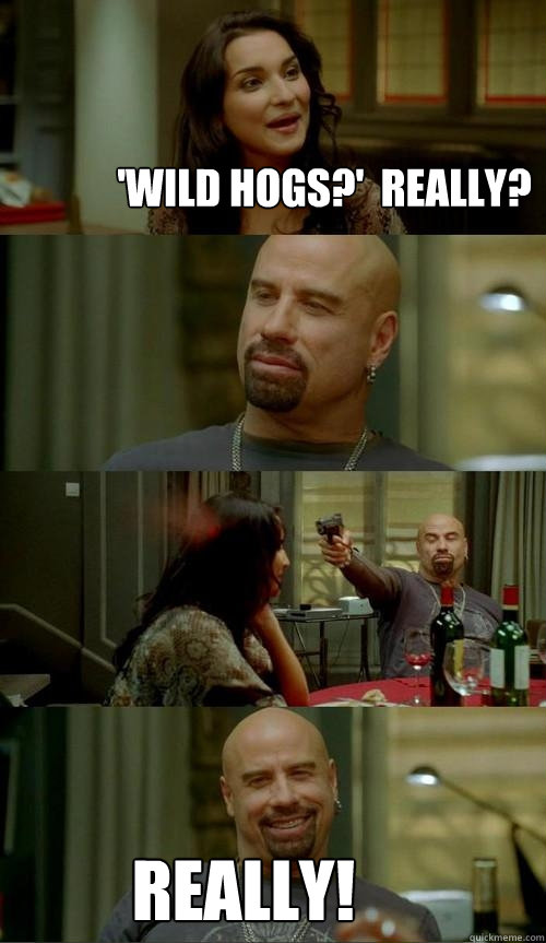 'Wild Hogs?'  Really? Really!  Skinhead John