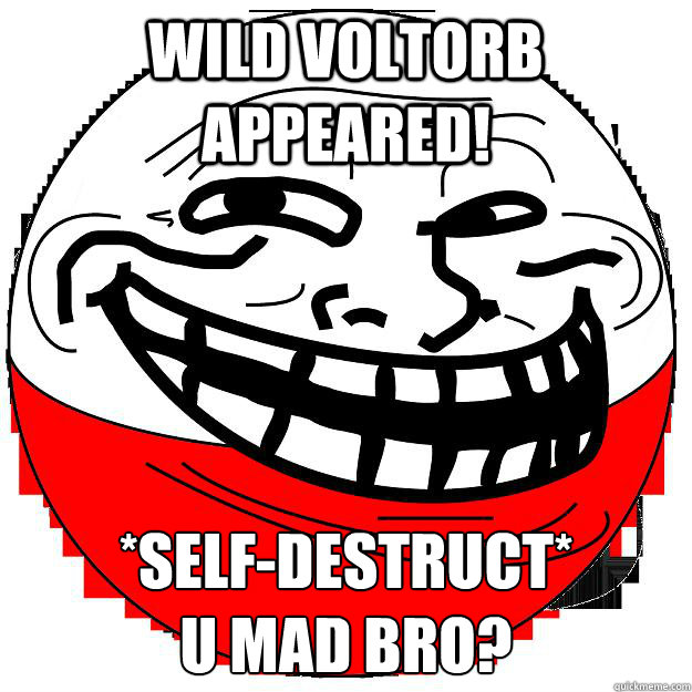 Wild voltorb appeared! *self-destruct* 
u mad bro? - Wild voltorb appeared! *self-destruct* 
u mad bro?  Pokemon Troll
