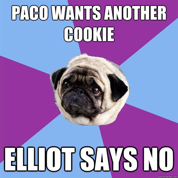 paco wants another cookie elliot says no  Lonely Pug