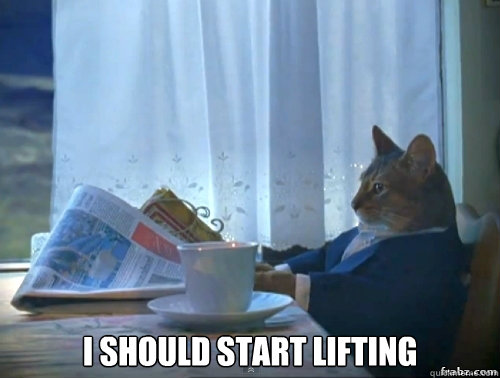  I should start lifting -  I should start lifting  Contemplative Breakfast Cat