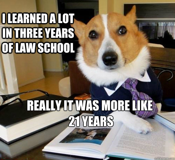 i learned a lot in three years of law school REALLY it was more like
 21 years   Lawyer Dog