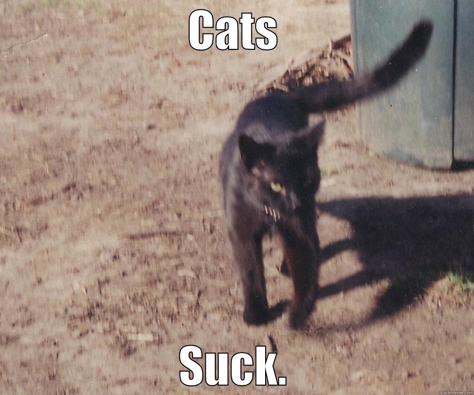 Cats Suck Quickmeme