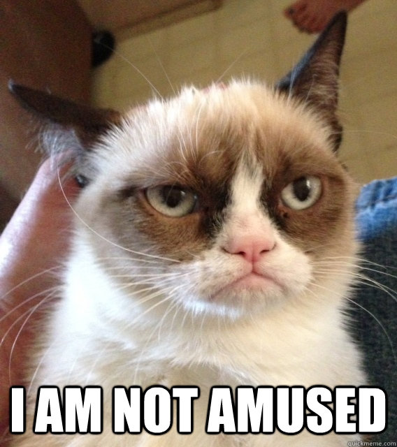  I am not amused  Not Amused Grumpy Cat