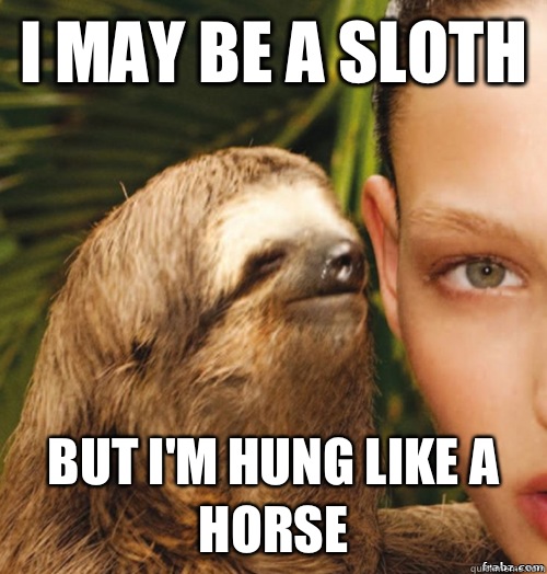 I may be a sloth But I'm hung like a horse  rape sloth