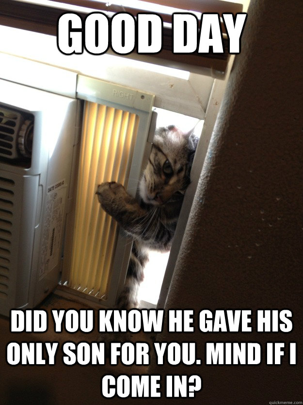Good Day Did you know he gave his only son for you. Mind if I come in?  Jehovah Cat
