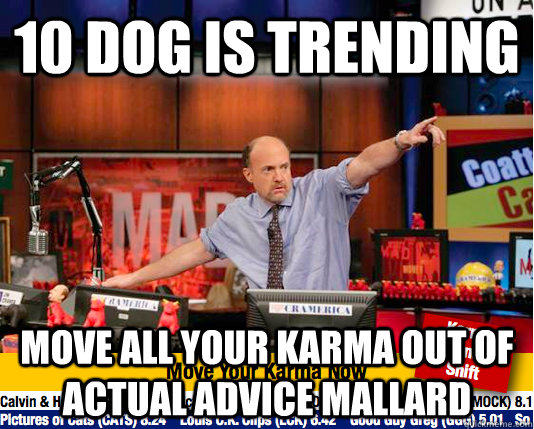 10 DOG IS TRENDING MOVE ALL YOUR KARMA OUT OF ACTUAL ADVICE MALLARD  