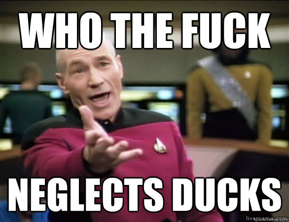 who the fuck neglects ducks   Annoyed Picard HD