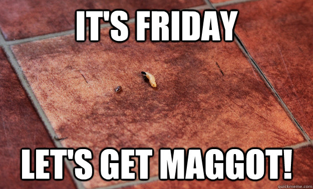 It's friday Let's get maggot!  Maggot