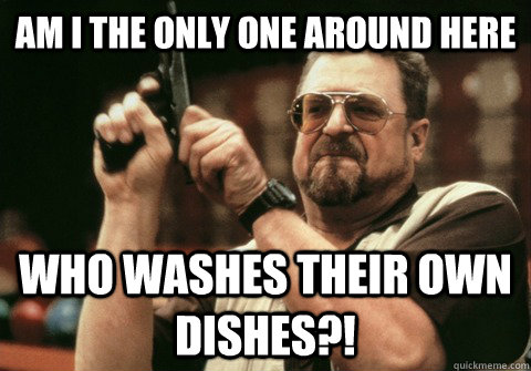Am I the only one around here who washes their own dishes?! - Am I the only one around here who washes their own dishes?!  Am I the only one