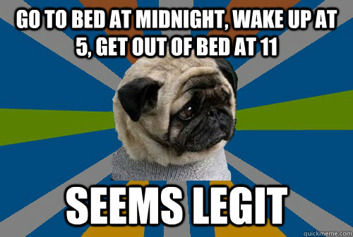 go to bed at midnight, wake up at 5, get out of bed at 11 seems legit  Clinically Depressed Pug