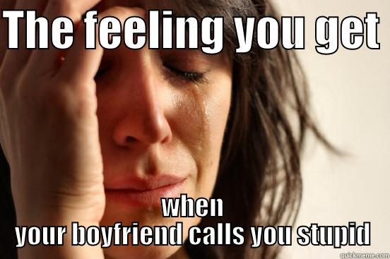THE FEELING YOU GET  WHEN YOUR BOYFRIEND CALLS YOU STUPID First World Problems