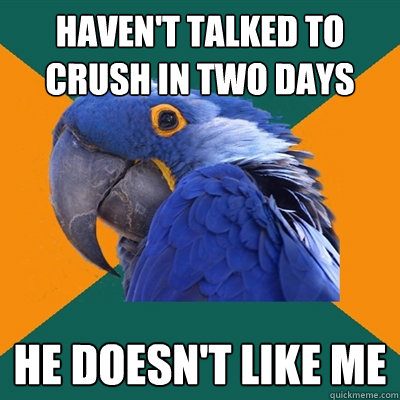 Haven't talked to crush in two days He doesn't like me  Paranoid Parrot
