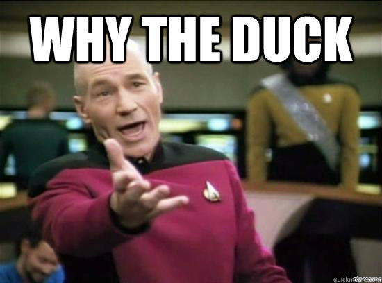Why the duck   Annoyed Picard HD